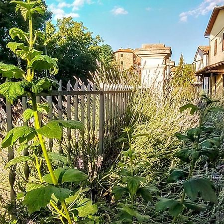 Villa Elvira Ambra Buitenkant foto