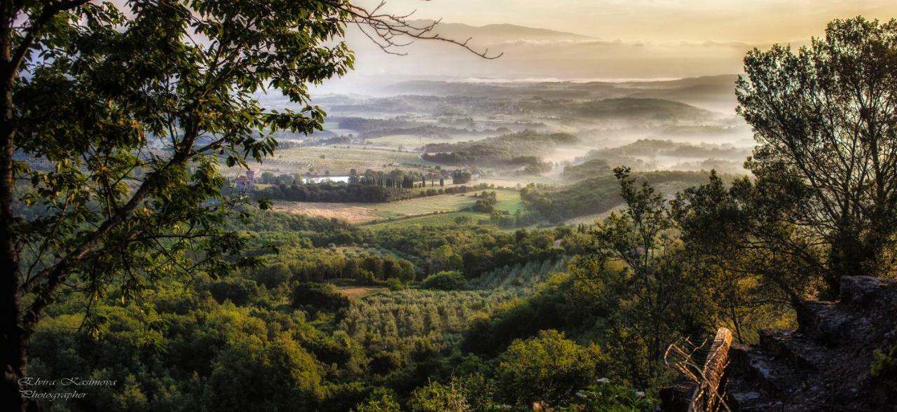 Villa Elvira Ambra Buitenkant foto