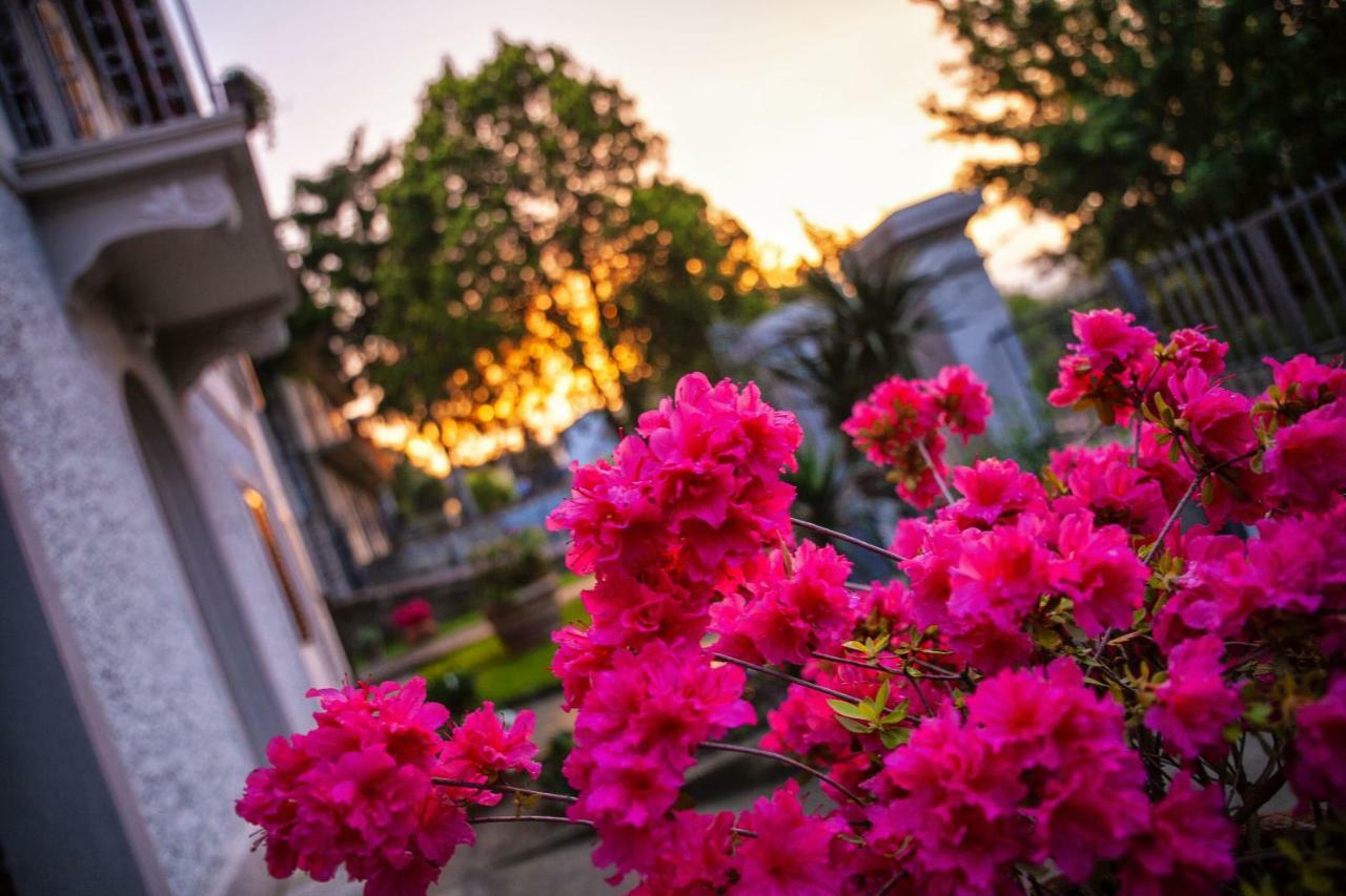 Villa Elvira Ambra Buitenkant foto